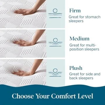 LUCID 10 Inch Memory Foam Mattress - Comfort & Support