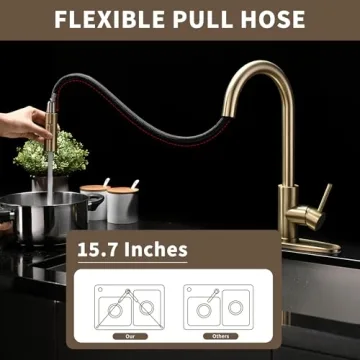 Tohlar Gold Kitchen Faucet with Pull Down Sprayer