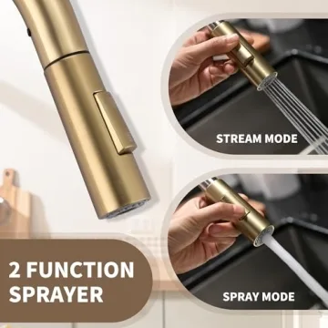 Tohlar Gold Kitchen Faucet with Pull Down Sprayer