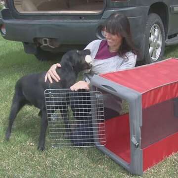 Compact Pop Crate for Dogs and Cats - Travel Friendly
