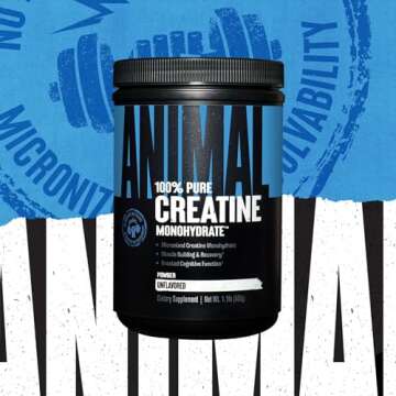Animal Micronized Creatine Monohydrate Powder - Delays Muscle Fatigue, Supports Muscle Growth, Endurance, ATP Production, Cognitive Function, Strength, and Recovery for Men & Women - Unflavored, 500g