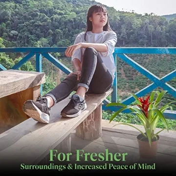 Vibrant Bromeliad Guzmania for Home Decoration