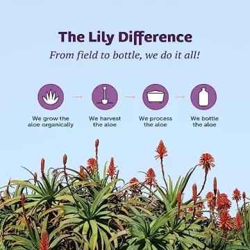 Lily Of The Desert Aloe Vera Juice for Gut Health