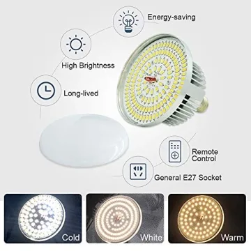 MOUNTDOG Softbox Lighting Kit for Photographers and Creators