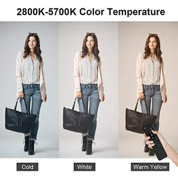 MOUNTDOG Softbox Lighting Kit for Photographers and Creators