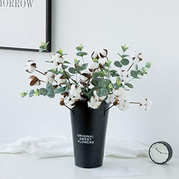 Stylish CEWOR Cotton Eucalyptus Stems for Home Decoration
