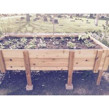 Garden-Seal NonToxic Wood and Pottery Sealer Clear