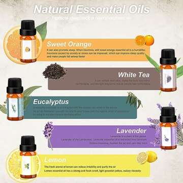 Mushroom Humidifier: 7 Color Night Light & Essential Oils