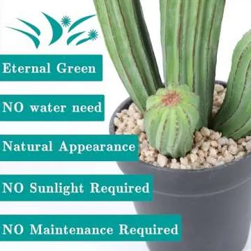 Huisezing 11" Artificial Cactus for Home and Office Decor