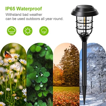 LETMY Solar Pathway Lights - Bright & Durable Garden Lighting