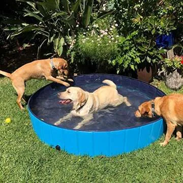 DreiWasser Dog Pool Foldable Pet Outdoor Swimming Pool Collapsible Anti-Slip Hard PVC Pet Paddling Bathtub for Large and Xtra Large Dogs, Kids, Pets((63'' * 12'')/(160cm x 30cm))