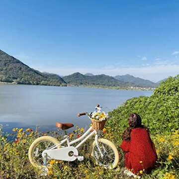 Petimini 12 Inch Kids Bike for Age 2 3 4 Years Old Little Girls Toddlers Retro Vintage Style Bicycle...