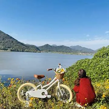 Petimini 12 Inch Kids Bike for Age 2 3 4 Years Old Little Girls Toddlers Retro Vintage Style Bicycle...