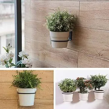 Stylish Wall Plant Holder Ring - Space Saving and Durable