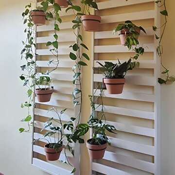 Stylish Wall Plant Holder Ring - Space Saving and Durable
