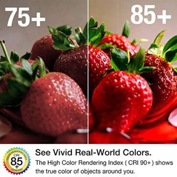 LEDMUNDO 12V-24V AC/DC 12W 1050LM E26 LED Light Bulbs, Natural White 4000K, Low Voltage Light Bulbs for Off Grid Solar Lighting Marine Boat, A19 RV Light Bulbs, Interior Lighting for Camper, 5PCS