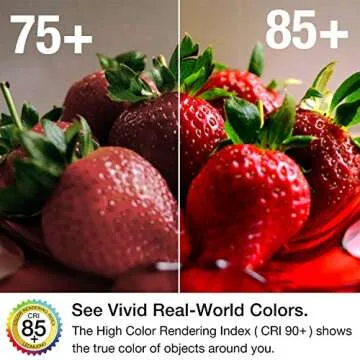 LEDMUNDO 1050LM 12V-24V LED Light Bulbs - 5PCS