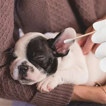 Tifanso 300PCS Cotton Swabs, Sturdy 6" Applicators