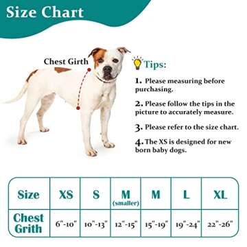 Zeaxuie Baby-Use-Grade Dog Anxiety Vest, Breathable Dog Jacket Wrap for Thunderstorm, Travel, Fireworks, Vet Visits- Calming Coat for Small, Medium & Large Dogs-M-Gray