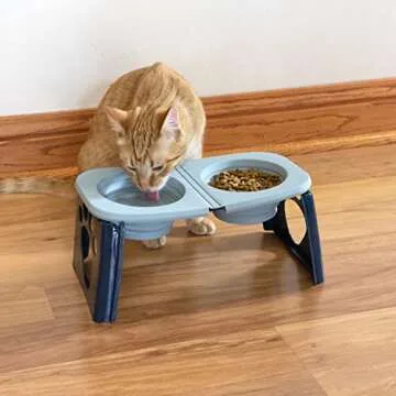 Travel-Friendly Elevated Dog Bowls for All Breeds