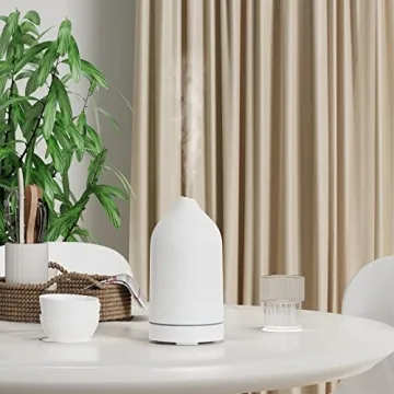 Monademo Ceramic Essential Oil Diffuser With Remote Control