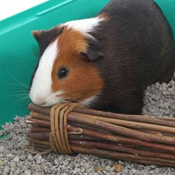 Willow Mega Munch Sticks for Small Pets