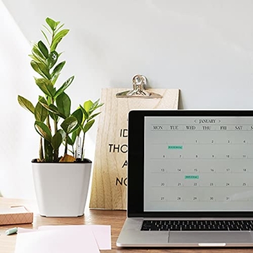 T4U Self Watering Planter 5.5 Inch Set of 6 Stylish Pots