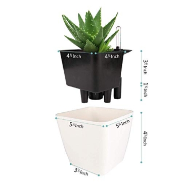 T4U Self Watering Planter 5.5 Inch Set of 6 Stylish Pots