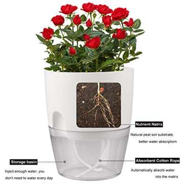 JFMAMJ Plant and Flower Pot Set, 5 Pack 6/4.1/3.2 Inch Self Watering Pots for Indoor Plants Wicking Pots, Modern Decorative Planter Pot for House Plants, Aloe, Herbs, African Violets, Succulents