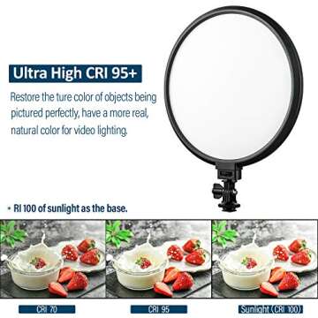 2 Pack 10 Inch LED Studio Round Light kit, VILTROX 2000LM Bi-Color LED Edge Round Key Light with Stand Kit for Portrait Video Studio Photography