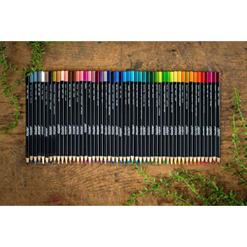 Crayola Blend & Shade Soft Core Colored Pencils 50 Count