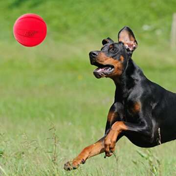 Nerf Dog Classic Ball Dog Toy with Interactive Squeaker - Durable and Lightweight