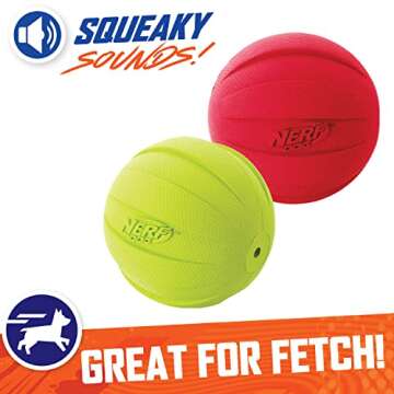 Nerf Dog Classic Squeak Ball Toy for Dogs