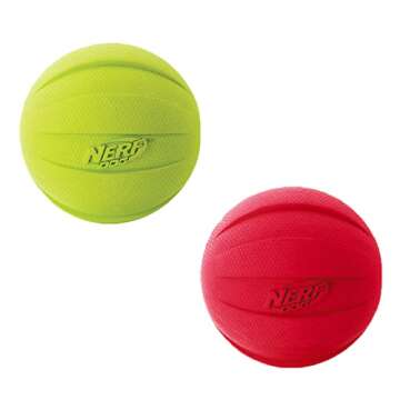 Nerf Dog Classic Squeak Ball Toy for Dogs