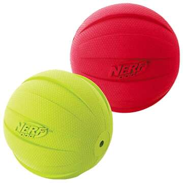 Nerf Dog Classic Squeak Ball Toy for Dogs