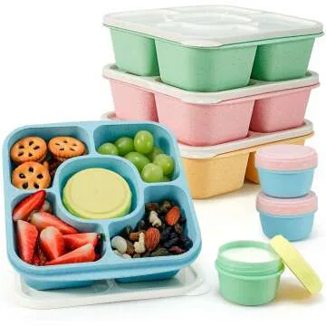 Bento Snack Boxes Set of 4 - Caperci Original Containers