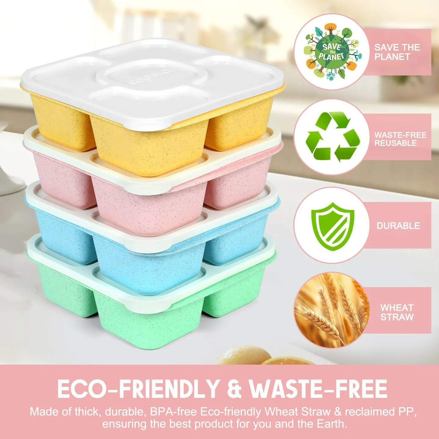 Bento Snack Boxes Set of 4 - Caperci Original Containers
