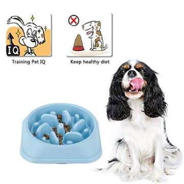 Slow Feeder Bowl, DotPet Fun Interactive Feeder Bloat Stop Dog Bowl Preventing Feeder Anti Gulping D...