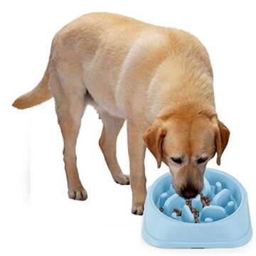 Slow Feeder Bowl, DotPet Fun Interactive Feeder Bloat Stop Dog Bowl Preventing Feeder Anti Gulping Drink Water Bowl Fan Shape Healthy Eating Diet for Puppy Dog Pet (Blue)