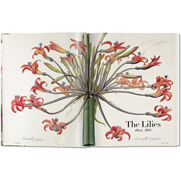 Redouté: The Book of Flowers - Nature's Artistry Unveiled