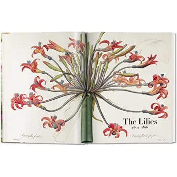 Redouté: The Book of Flowers - Nature's Artistry Unveiled