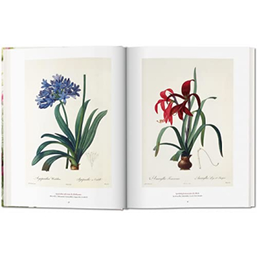 Redouté: The Book of Flowers - Nature's Artistry Unveiled