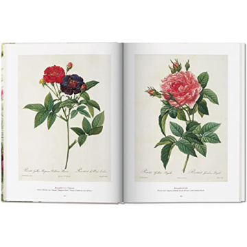 Redouté: The Book of Flowers - Nature's Artistry Unveiled