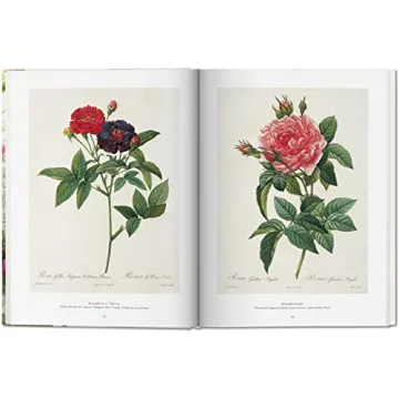 Redouté: The Book of Flowers - Nature's Artistry Unveiled
