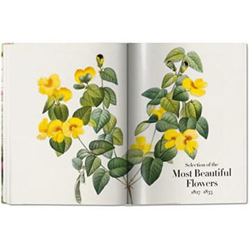 Redouté: The Book of Flowers - Nature's Artistry Unveiled