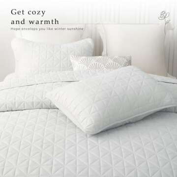 Stylish Lightweight Queen Size Quilt Set for All Seasons
