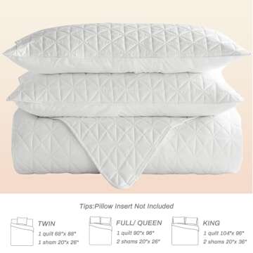 Stylish Lightweight Queen Size Quilt Set for All Seasons