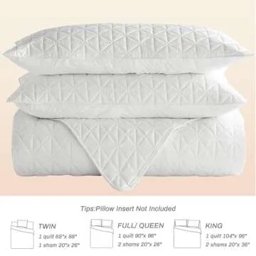 Stylish Lightweight Queen Size Quilt Set for All Seasons