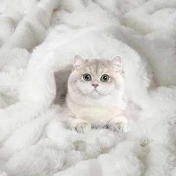 Soft Cozy HYPREST Faux Fur Throw Blanket for any Home