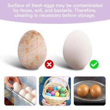 2 PCS Tewodila Silicone Egg Cleaner, Egg Washer for Fresh Eggs,Farm Fresh Egg Cleaning Brush, Practi...